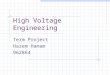 High Voltage Engineering Term Project Hazem Hamam 962864