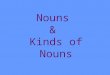 Nouns & Kinds of Nouns Definition A NOUN is a word that names a person, a place, a thing, or an idea. person place thing idea ?