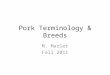 Pork Terminology & Breeds M. Marler Fall 2011. Swine Terminology Boar-Mature male pig Sow-Mature female pig Barrow-Castrated male pig Gilt-Young, immature