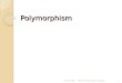 Polymorphism Chapter EightModern Programming Languages1