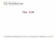 The CCM. Overview GF Basics CCM Basics Useful Tools for the CCM –CCM Funding –CCM Oversight tool