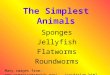 The Simplest Animals Sponges Jellyfish Flatworms Roundworms Many images from: 