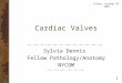 Cardiac Valves Sylvia Dennis Fellow Pathology/Anatomy NYCOM Friday, October 07, 2005 1