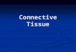 Connective Tissue. Binds together, supports and strengthens other body tissues Binds together, supports and strengthens other body tissues Protects and