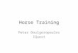 Horse Training Peter Doulgeropoulos IQuest. Objective of The Year My objective this year was to get my horses ready for competition – Dash and Briar were