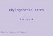  Phylogenetic Trees Lecture 4 Based on: Durbin et al Chapter 8