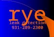 Rye leak detection 931-289-2300. A PRACTICAL APPROACH TO WATER AUDITS AND LEAK DETECTION LEAK DETECTION Presented By: RYE ENGINEERING PLC Consulting Engineers