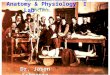 Anatomy & Physiology I Lab BSC1085L Dr. Jason Schwartz BSC 2093 L