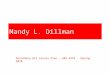 Mandy L. Dillman Secondary Art Lesson Plan - ARE 4352 - Spring 2010