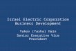 Israel Electric Corporation Business Development Yakov (Yasha) Hain Senior Executive Vice President 1