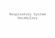 Respiratory System Vocabulary. 1.Respiratory System- the organ system that enables you to take in oxygen and get rid of Carbon Dioxide. Respiratory Pathway