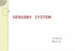 SENSORY SYSTEM Preeti Malik. Structure and Function Sensory system consists of receptors in specialized cells and organs that perceive changes in the