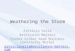 Weathering the Storm Patricia Vella Resilience Matters Former Global Head Business Continuity Nortel patriciavella@resilience-matters.com
