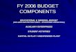 FY 2006 BUDGET COMPONENTS EDUCATIONAL & GENERAL BUDGET (INCLUDES RESTRICTED FUNDS – SPONSORED OPERATIONS) AUXILIARY ENTERPRISES STUDENT ACTIVITIES CAPITAL
