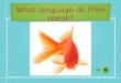 What language do FISH speak?. Learn a Second Language A mouse saved her young from a ferocious cat by barking ‘bow bow’. After the cat ran away, the mouse