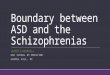 Boundary between ASD and the Schizophrenias JARRETT_BARNHILL UNC SCHOOL OF MEDICINE CHAPEL HILL, NC