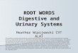 ROOT WORDS Digestive and Urinary Systems Heather Wipijewski CVT ALAT This workforce solution was funded by a grant awarded under the President’s Community-Based