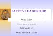 SAFETY LEADERSHIP What is it? Why Should I Care? Is it worth it? How does it work?