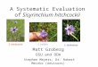 A Systematic Evaluation of Sisyrinchium hitchcockii Matt Groberg OSU and ODA Stephen Meyers, Dr. Robert Meinke (Advisors) S. hitchcockiiS. bellum S. idahoense