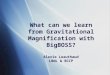 What can we learn from Gravitational Magnification with BigBOSS? Alexie Leauthaud LBNL & BCCP