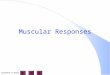 Suzanne D'Anna1 Muscular Responses. Suzanne D'Anna2 Threshold Stimulus l any stimulus strong enough to initiate action potential l minimal strength of