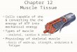 Chapter 12 Muscle Tissue Cells capable of shortening & converting the chemical energy of ATP into mechanical energy Types of muscle –skeletal, cardiac