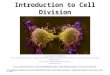 Introduction to Cell Division http://youtu.be/Q6ucKWIIFmg http://highered.mcgraw-hill.com/sites/0072495855/student_view0/chapter2/animation__how_the_cell_cycle_works.html