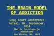 THE BRAIN MODEL OF ADDICTION Drug Court Conference Normal, OK. September, 2014 Matrix Institute On Addictions Sam Minsky, MA, LMFT