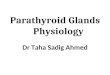 Parathyroid Glands Physiology Dr Taha Sadig Ahmed