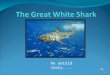 An untold story.... 1. What’s In A Name? The Great White Shark is also known as the ‘White Pointer’, ‘White Shark’ and ‘White Death’. Its scientific name
