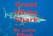 Animal Species The great white shark, Carcharodon carcharias, also known as great white, white pointer, white shark, or white death, is an exceptionally