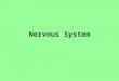 Nervous System. Helps you observe and react to the world around you Neuron= cells of the nervous system