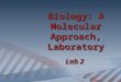 Biology: A Molecular Approach, Laboratory Lab 2. Today’s Plan Attendance Handout Introduction to Your Research Project Webquest on Mosquito Biology Mosquito