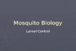 Mosquito Biology Larval Control. General Points ► Four development stages (egg/larva/pupa/adult) ► Immature stages need standing water (egg/larva/pupa)