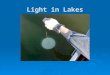 Light in Lakes. Light is energy  Major energy source to aquatic habitats  Productivity controlled by energy used in photosynthesis  Thermal character