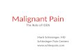 Malignant Pain The Role of IDDS Mark Schlesinger, MD Schlesinger Pain Centers 