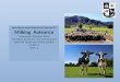 Agricultural and Horticultural Science 3.2 Milking Aotearoa Achievement Standard 90650 Investigate production and marketing of a nationally significant