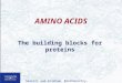 Garrett and Grisham, Biochemistry, Third Edition AMINO ACIDS The building blocks for proteins
