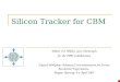 Silicon Tracker for CBM Walter F.J. Müller, GSI, Darmstadt for the CBM Collaboration Topical Workshop: Advanced Instrumentation for Future Accelerator