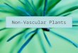 Non-Vascular Plants. Evolution of Land Plants Land plants evolved from green algae The green algae called charophyceans are the closest relatives of land