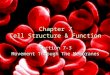Chapter 7 Cell Structure & Function Section 7-3 Movement Through The Membranes