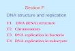 Section F DNA structure and replication F1 DNA (RNA) structure F2 Chromosomes F3 DNA replication in bacteria F4 DNA replication in eukaryote