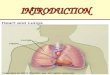 INTRODUCTION. The Oxygen Transport System I. Pulmonary Ventilation Movement of Air in & out of the Lungs 3