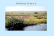 Wetland Science. Wetland scientists examine: - biology - characteristic plants and animals, microorganisms of different wetland types - vulnerability