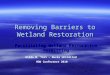 Removing Barriers to Wetland Restoration Facilitating Wetland Restoration Permitting Gildo M. Tori – Ducks Unlimited HOW Conference 2010