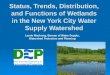 Status, Trends, Distribution, and Functions of Wetlands in the New York City Water Supply Watershed Laurie Machung, Bureau of Water Supply, Watershed Protection