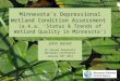 Minnesota’s Depressional Wetland Condition Assessment (a.k.a. ‘Status & Trends of Wetland Quality in Minnesota’) John Genet 6 th Annual Minnesota Wetlands