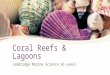 Coral Reefs & Lagoons Cambridge Marine Science AS Level