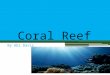 Coral Reef By Abi Davis. WHAT IS A COARL ? Coral Reef are underwater structures Coral is living structure compound Its made up by anemone Some parts are