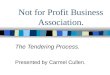 Not for Profit Business Association. The Tendering Process. Presented by Carmel Cullen